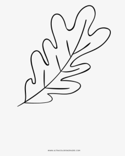 Leaves Branch Line Art , Free Transparent Clipart - Clipartkey