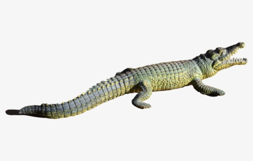 alligator png file nile crocodile png free transparent clipart clipartkey alligator png file nile crocodile png