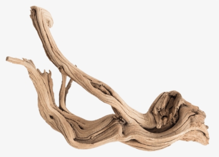 Free Driftwood Clip Art with No Background - ClipartKey