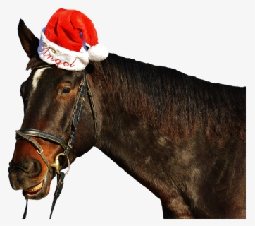 Free Christmas Horse Clip Art with No Background - ClipartKey