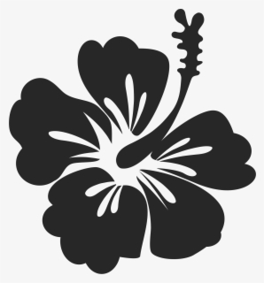 Featured image of post Hibiscus Clipart Black And White