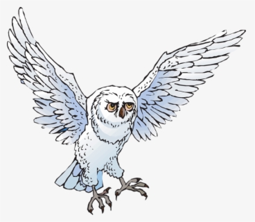 Owls Clipart Snowy Owl - Cartoon Snowy Owl , Free Transparent Clipart ...