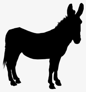 Donkey-silhouette - Silhouette Donkey Transparent Background , Free ...