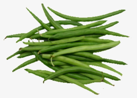 Free Green Beans Clip Art with No Background - ClipartKey