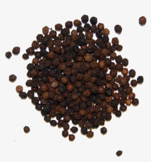 black pepper png images é» è¡æ¤ png free transparent clipart clipartkey clipartkey