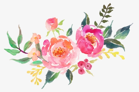 Watercolor Peonies Png - Transparent Background Flower Png , Free ...