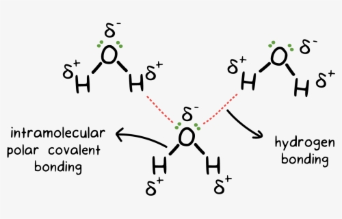 Transparent Chemical Clipart - Polar Covalent Bond Cartoon , Free ...