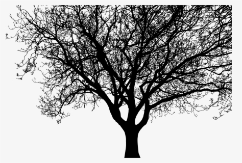 Detailed Tree Silhouette Clip Arts - Silhouette Tree , Free Transparent ...