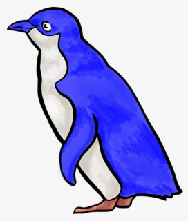 Zoo Penguin Clipart - Little Blue Penguin Cartoon , Free Transparent ...