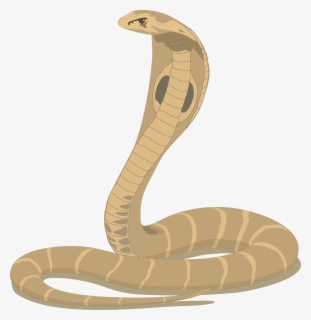 Cobra Snake Cartoon - Happy Nag Panchami , Free Transparent Clipart ...
