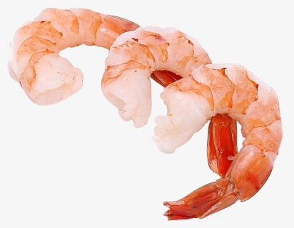 Shrimps Png - Cooked Shrimp Clip Art , Free Transparent Clipart ...