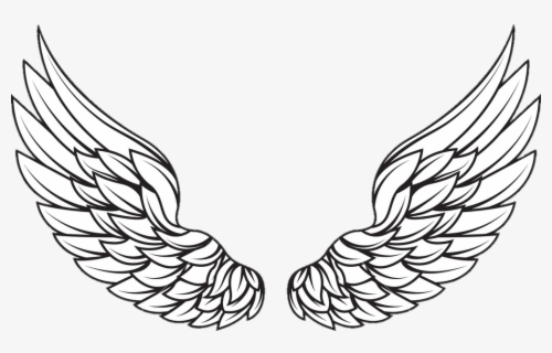 Asas De Anjo - Vector Wings Png Logo , Free Transparent Clipart ...