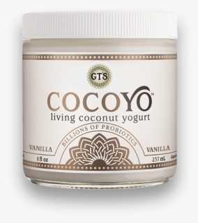Toasted Coconut Vanilla Nonfat Yogurt - Dannon Light And Fit Raspberry ...