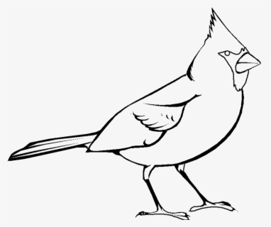 28 Collection Of Cardinal Clipart Black And White - Cardinal Clipart ...