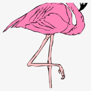 Free Flamingo Clip Art With No Background Clipartkey - flamingo roblox drawing