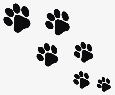 Footprint Animal Cat Free Picture - Huellas De Gato Png , Free ...