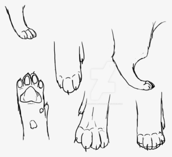 Clip Art Freeuse Download Collection Of Cat Feet High - Drawing Of A ...