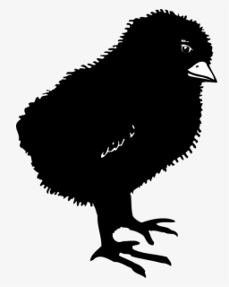 Transparent Chicks Clipart - Black Chicks Clipart , Free Transparent