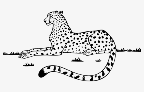 black and white cheetah painting