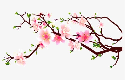 Free Cherry Blossom Clip Art With No Background Clipartkey