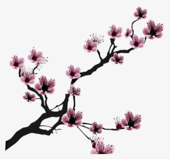 Free Cherry Blossom Drawings Clip Art With No Background Clipartkey