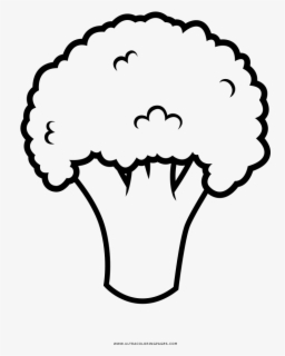 Broccoli Coloring Page - Broccoli Easy To Draw , Free Transparent ...