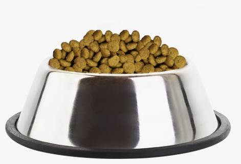 kibble bowl