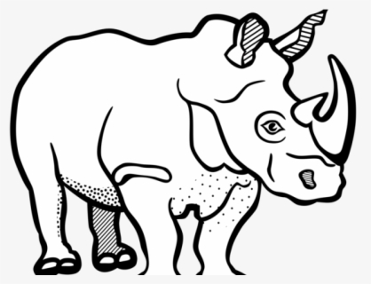 Rhinoceros Vektor Badak Free Transparent Clipart Clipartkey