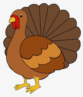 Drawing Turkey Color - Turkey Drawing , Free Transparent Clipart ...