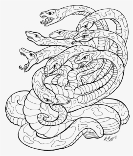 Hydra Three Headed Dragon Coloring Page, Printable - Hydra Drawing
