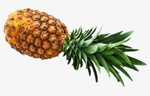 ananas png free transparent clipart clipartkey