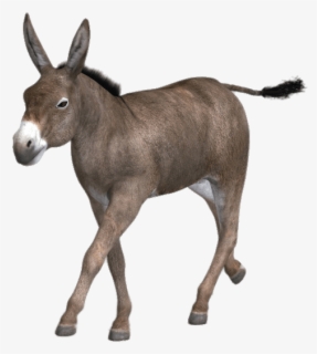 Running Mule - Mule Png , Free Transparent Clipart - ClipartKey
