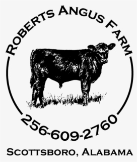 Angus Bull Farm Logo , Free Transparent Clipart - ClipartKey