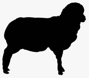 Carnivore Animals Silhouette Png , Free Transparent Clipart - ClipartKey