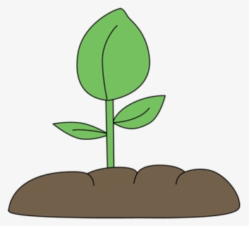 Soil Clipart Small Plant Sprouting Clip Art Transparent - Plants In ...