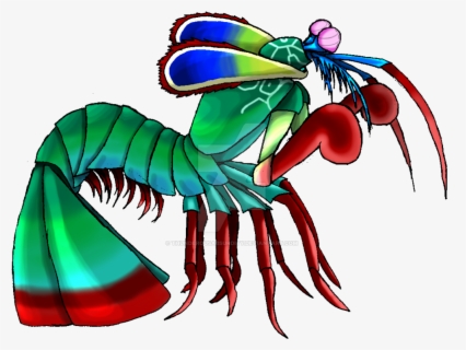 Mantis Cartoon Clip Art - Peacock Mantis Shrimp Cartoon , Free