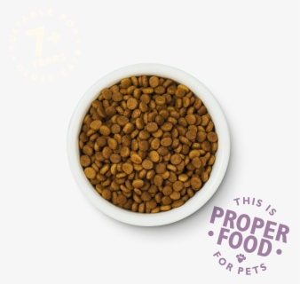 lily's kitchen fabulous fish