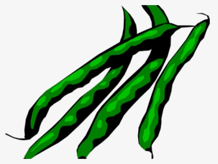 Transparent String Bean Clipart - Cooked Green Beans Png , Free ...
