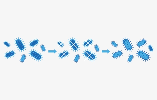 Antibiotic Resistant Bacteria Icon , Free Transparent Clipart - ClipartKey