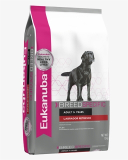 eukanuba labrador puppy