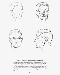 Class Drawing Anatomy - Drawing Head Andrew Loomis , Free Transparent ...