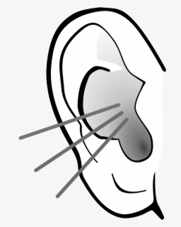 Free Listening Ears Clip Art with No Background - ClipartKey