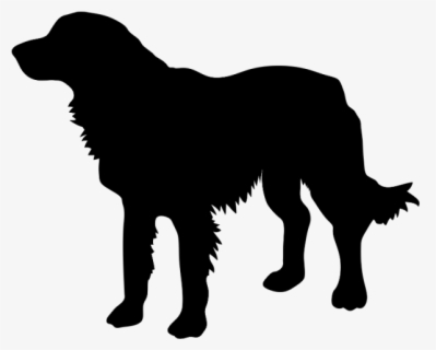 Clip Art Png Clip Art - Golden Retriever Lineart , Free Transparent ...