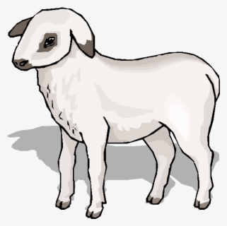 Cain Sheep Cain Coloring - Arabic Letters Khaa Worksheets , Free ...