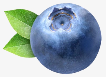 Free Blueberry Clip Art With No Background Clipartkey