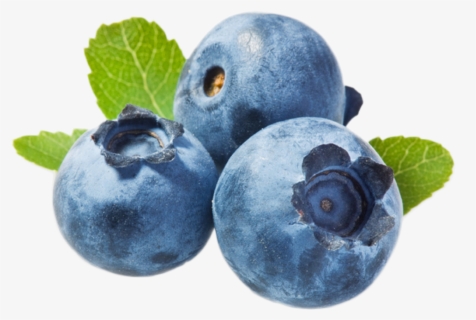 Free Blueberry Clip Art With No Background Clipartkey