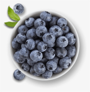 Free Blueberry Clip Art With No Background Clipartkey