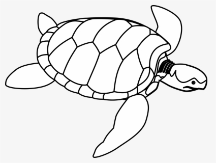 Free Sea Animal Clip Art With No Background Clipartkey