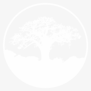 Free Tree Black And White Clip Art with No Background - ClipartKey