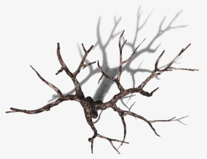 On Resource Look Tree Trees Down Euclidean Clipart - Tree , Free ...